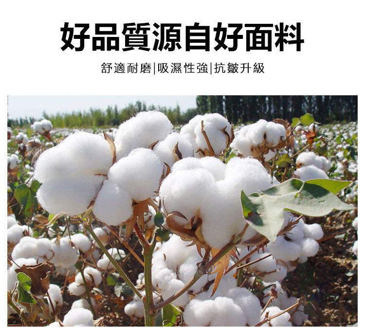 1786780095438011.jpg 20_商品詳情_16.jpg